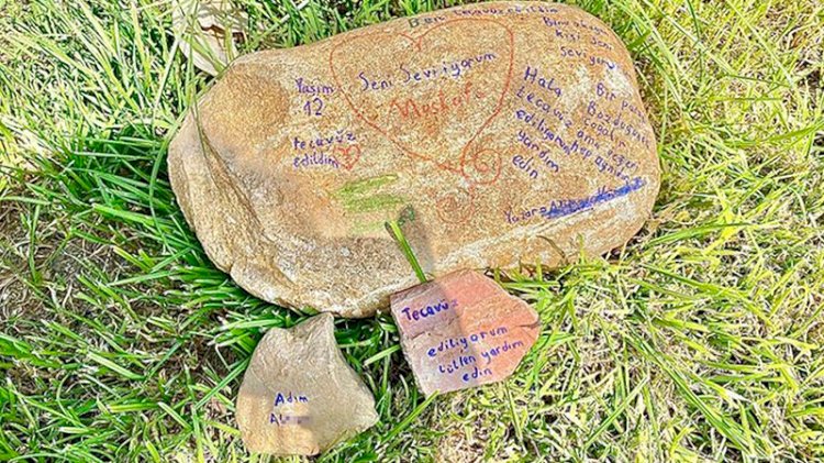 Taşa 'tecavüz ediliyorum' yazmıştı... Jet iddianame