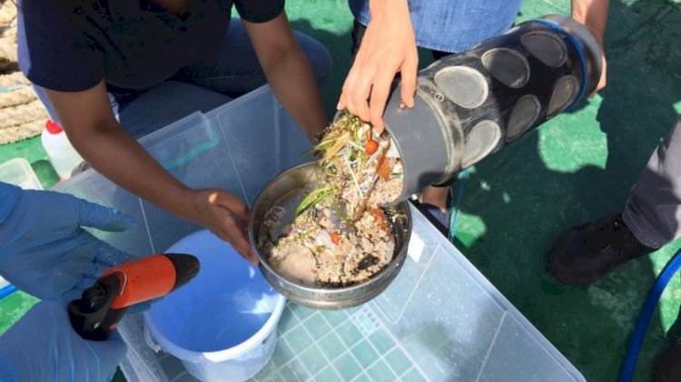 Plastik denizi... İstanbul Boğazı'ndan neler çıktı