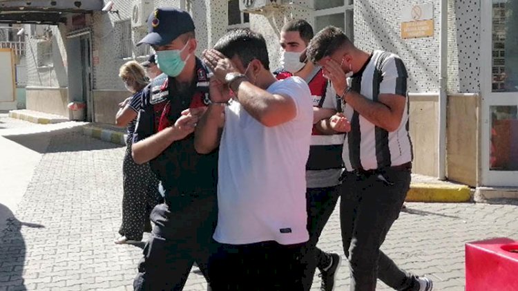 'Pire Ailesi'ne hayvan hırsızlığından gözaltı