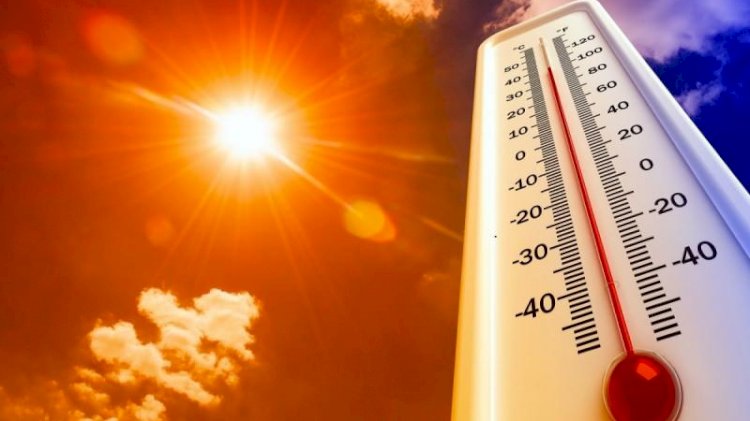 Aşırı sıcaklar yüzünden yüzlerce kişi hayatını kaybetti