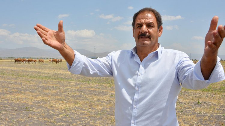 7 bin lira maaşla çoban bulamıyorlar