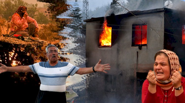 Türkiye cayır cayır yanıyor! Birçok ilde orman yangını