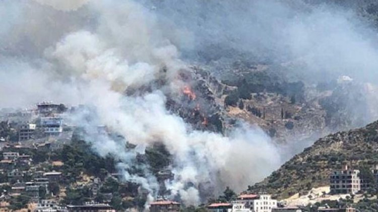 Hatay'da orman yangını: Bazı evler tahliye ediliyor