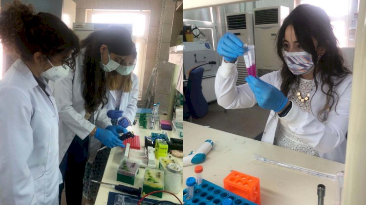 Kovid-19'un yayılmasını engelleyecek yerli aşı, klinik çalışma için izin bekliyor