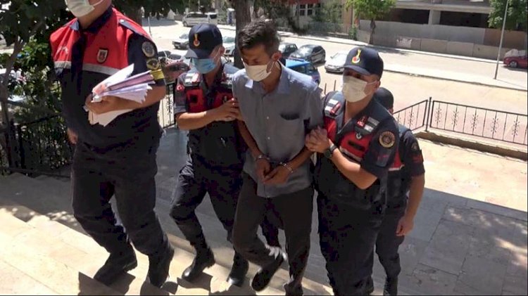 Orman yangını şüphelisi adli kontrolle serbest