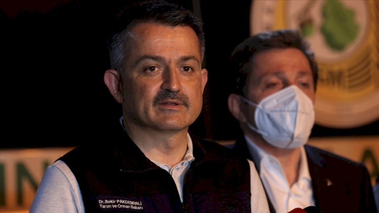 Bekir Pakdemirli: Orman yerlerindeki sorumluluk belediyelerdedir