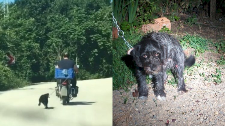 Köpeği motosikletin arkasına bağlayan cani yakalandı