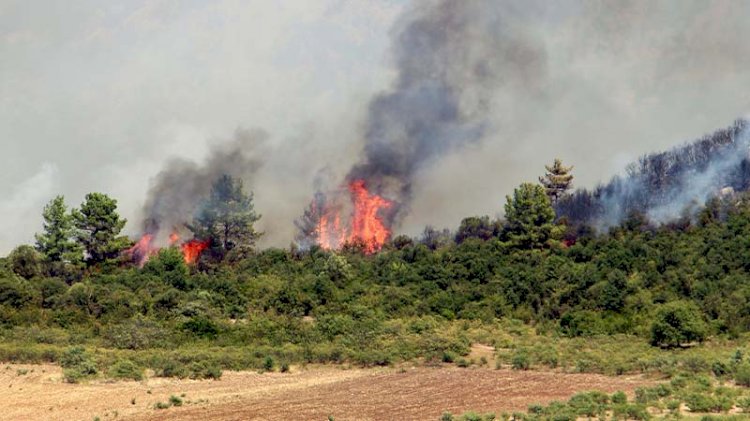 Isparta'da da yangın çıktı!