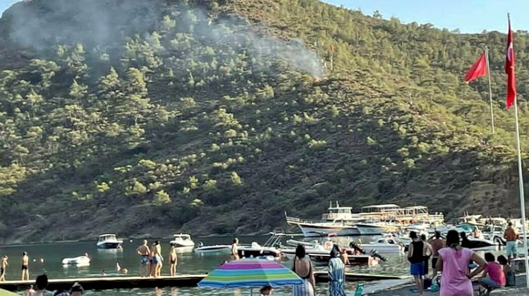 Datça'da ormanda bulunan torpiller hakkında soruşturma tamamlandı
