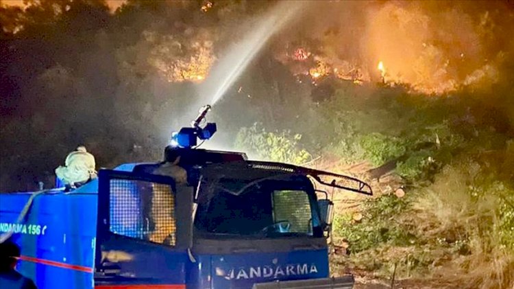 Jandarma, 4 ildeki orman yangınlarına müdahale ediyor
