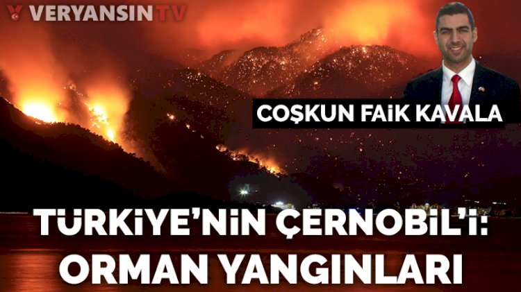 Türkiye'nin Çernobil'i: Orman yangınları