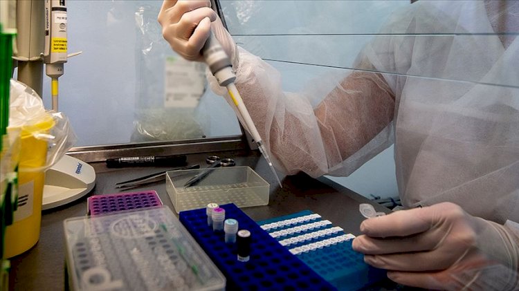 Koronavirüs insanlara nasıl bulaştı? DSÖ’den dikkat çeken ‘laboratuvar’ iddiası