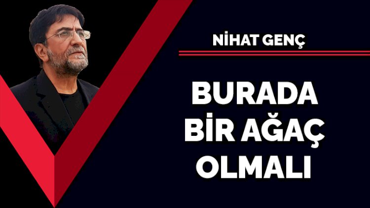 Burada bir ağaç olmalı