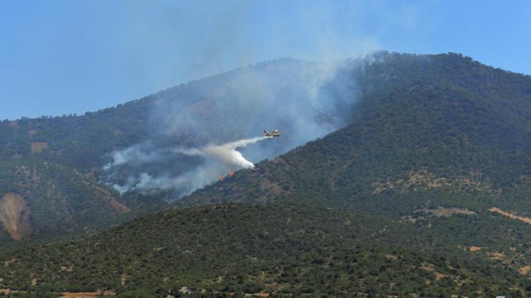 Tunceli'deki yangına bakanlıktan açıklama