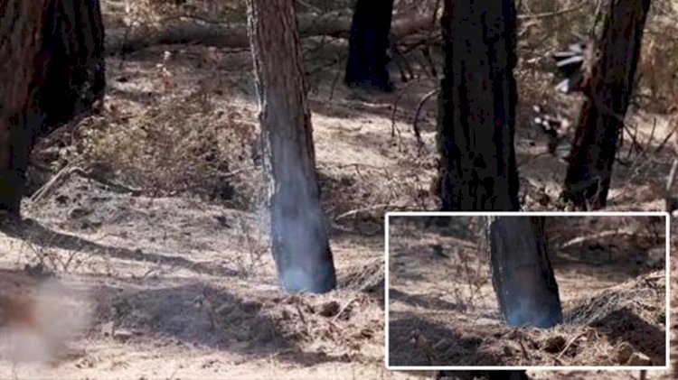 Yangının üzerinden 25 gün geçti, hala duman tütüyor