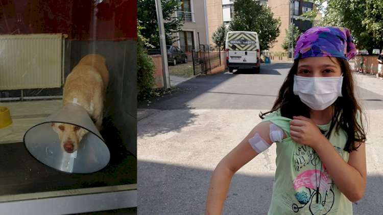 Emekli polis, köpeğe mermi yağdırdı, seken mermi 10 yaşındaki çocuğa isabet etti
