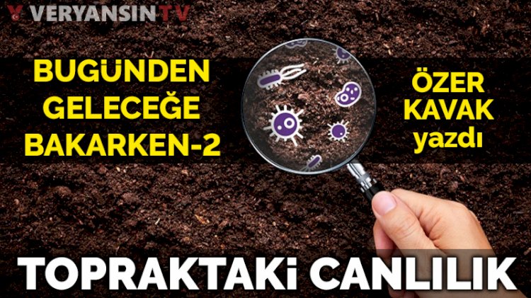 Bugünden Geleceğe Bakarken–2: Topraktaki canlılık