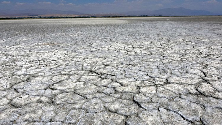 Van Gölü'nde tehlike çanları: Çekilme 1 kilometreyi aştı