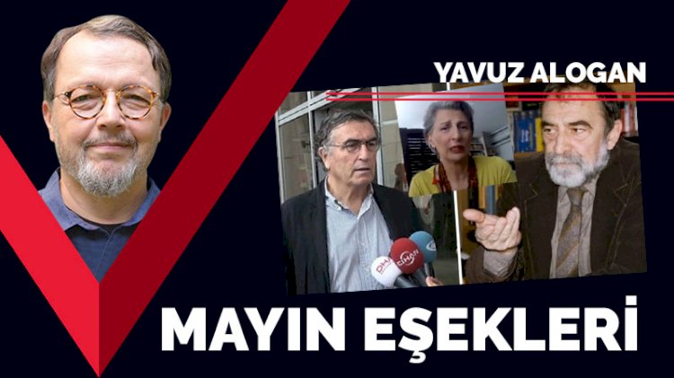 Mayın eşekleri