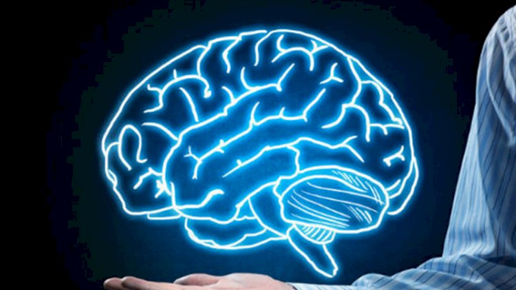 Türkiye'nin iq ortalaması ortaya çıktı