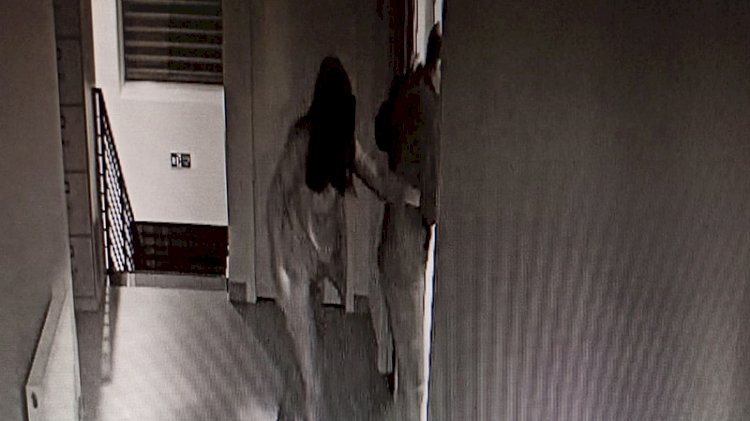 Veterinere cinsel istismar davası sanığına hapis