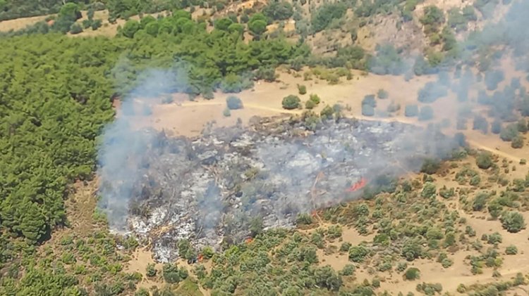 İzmir'de orman yangını