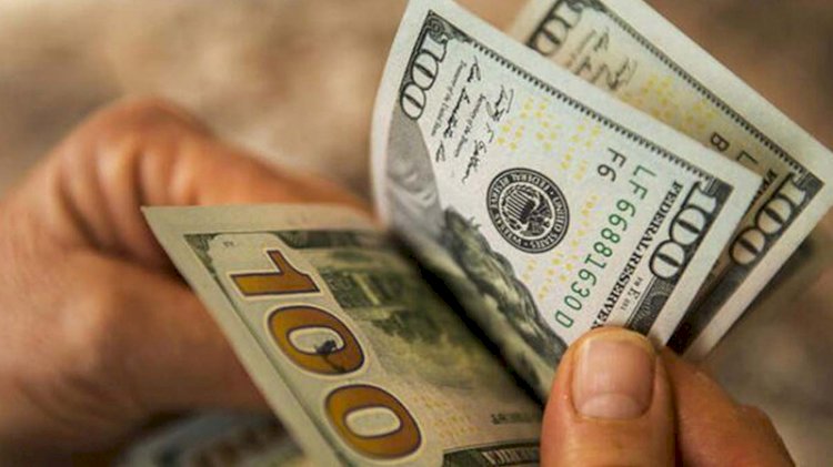 Kritik karar öncesi doların yükselişi sürüyor