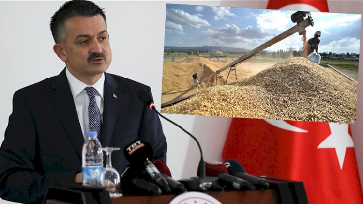 Bakan Pakdemirli 'çiftçinin zarar ettiği ürün yok' demişti... Peki gerçek öyle mi?