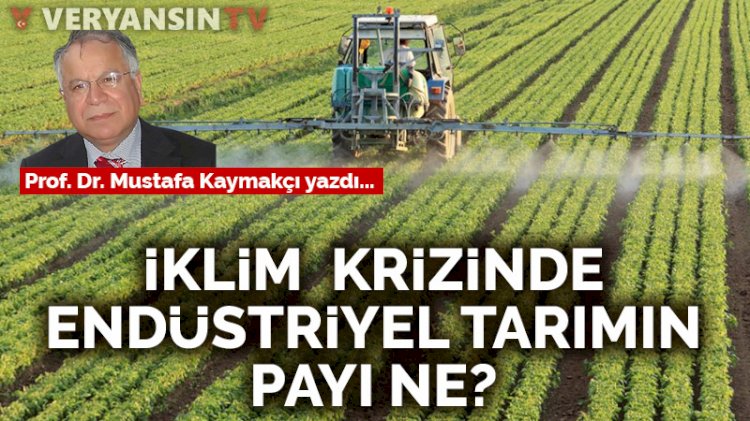 İklim krizinde endüstriyel tarımın payı ne?