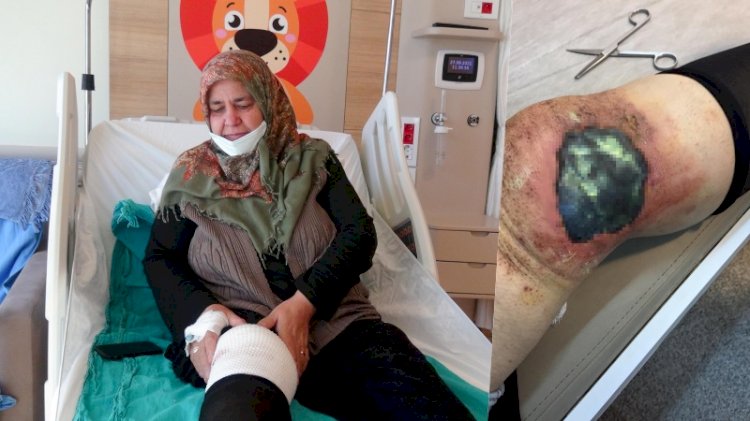 'Bitkisel tedavi' dizini yaktı