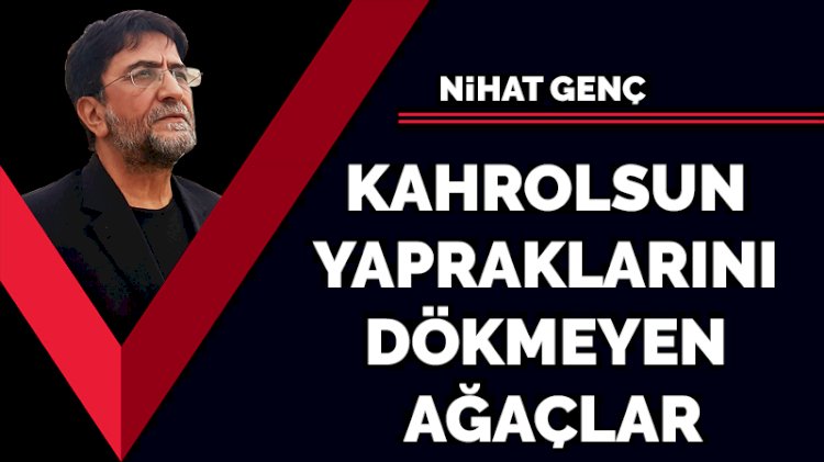 Kahrolsun yapraklarını dökmeyen ağaçlar
