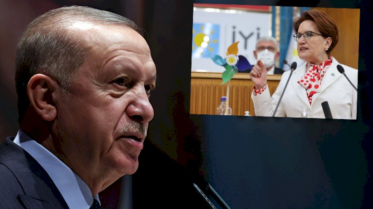 Erdoğan'ın Akşener planı bu mu? 'Gel gel yapıyor'
