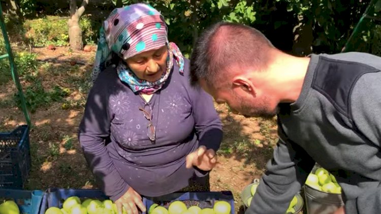 Elma üreticileri isyanda: Cumhurbaşkanı gelsin görsün... Toprakta tüccar var, devlet yok!