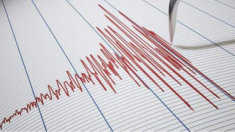 Van'da 4.9 şiddetinde deprem