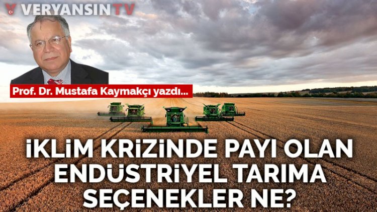 İklim krizinde payı olan endüstriyel tarıma seçenekler ne?