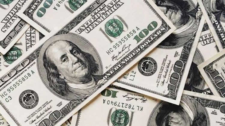 Dolar 9.84'ü gördü