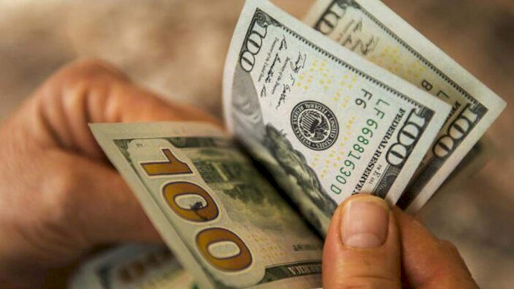 Dolar haftaya yeni rekorla başladı