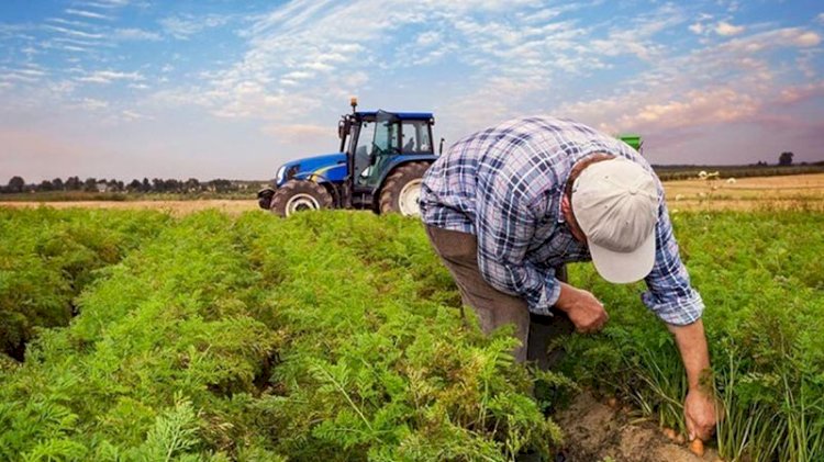 Tarımsal girdi fiyatları 1 yılda yüzde 28,74 arttı