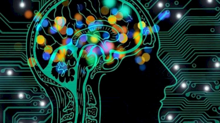 Türkiye'nin en zeki illeri belli oldu... İşte IQ ortalaması en yüksek olanlar
