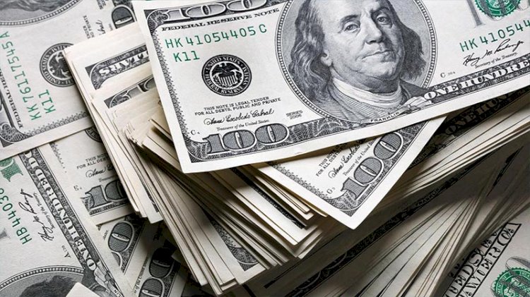 Dolar ve Euro rekor tazeledi