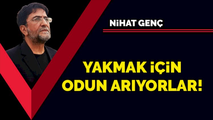 Yakmak için odun arıyorlar!