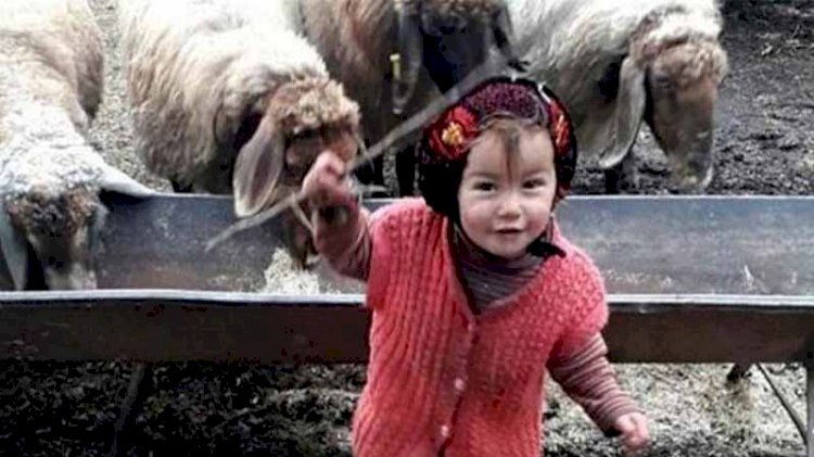 Müslüme'nin ölümüyle ilgili 'yasağa uymayanlara' soruşturma