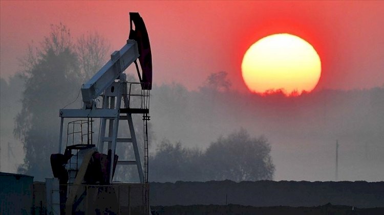 Petrol fiyatlarında günlük kayıp yüzde 10'u aştı
