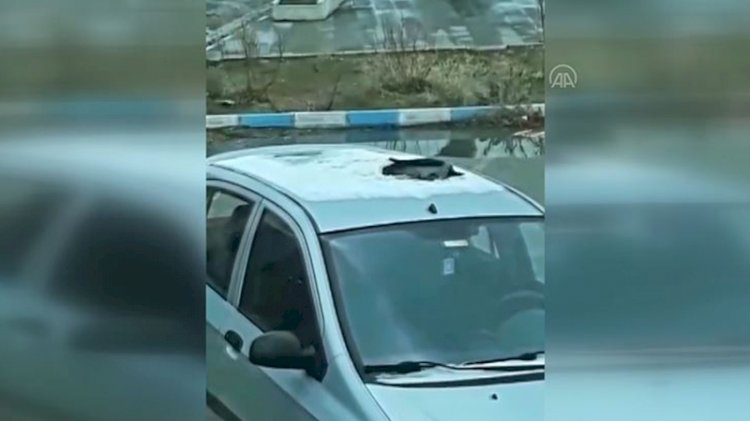 Karganın 'kar' keyfi gülümsetti