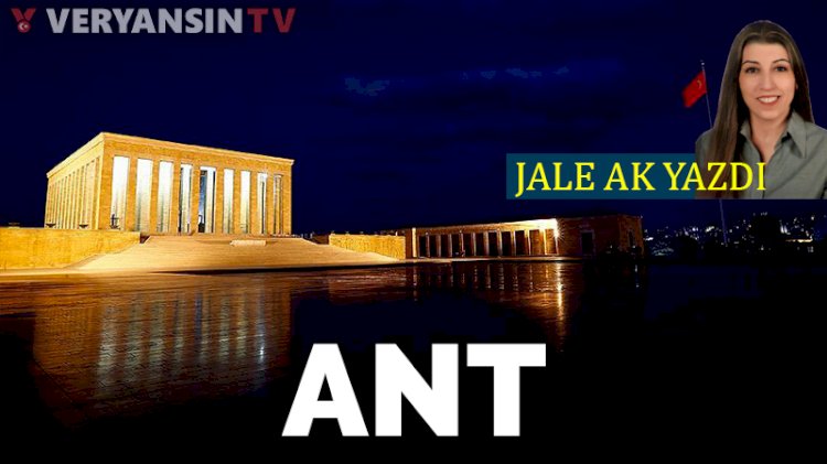 Ant