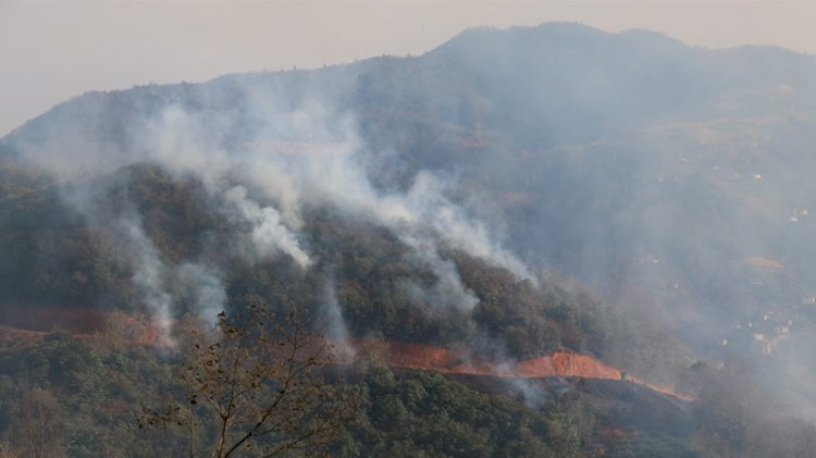Trabzon'da 4 noktada orman yangını