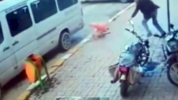 Köpeği önce minibüsle ezdiler, sonra dubayla vurdular