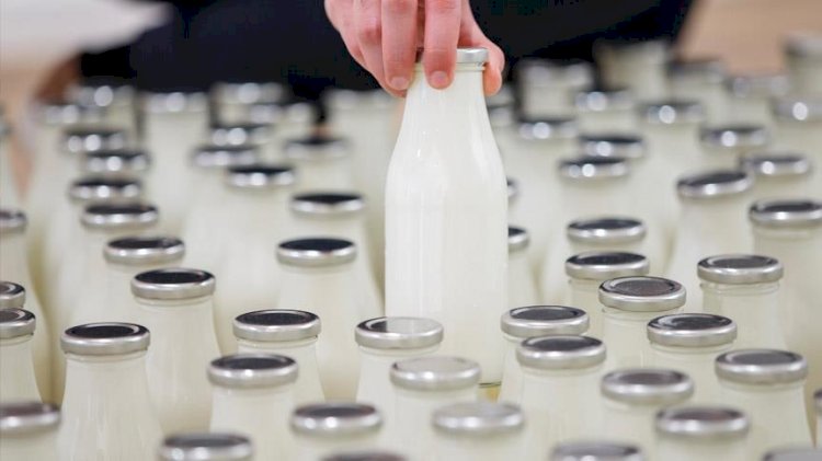 Süt ve süt ürünlerine yüzde 45-60 zam geliyor