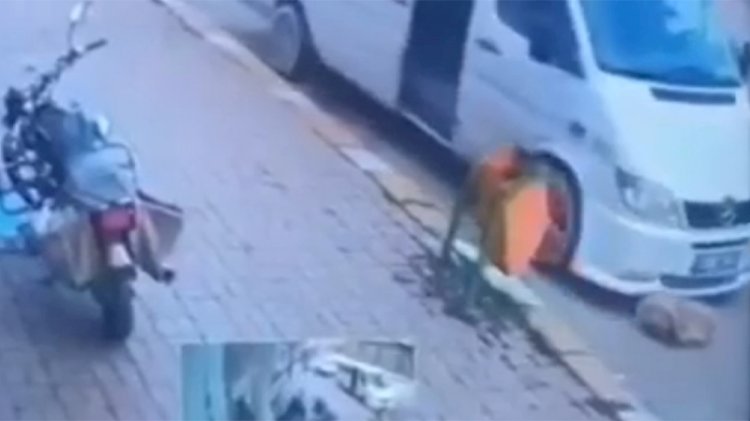 İnsanlık ölmüş! Köpeğin üzerine minibüs sürüp duba fırlattılar