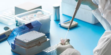 lab